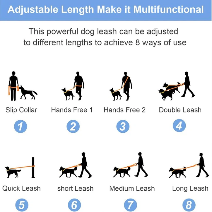 Hands Free dog leads -2 Hands Free dog leads -2